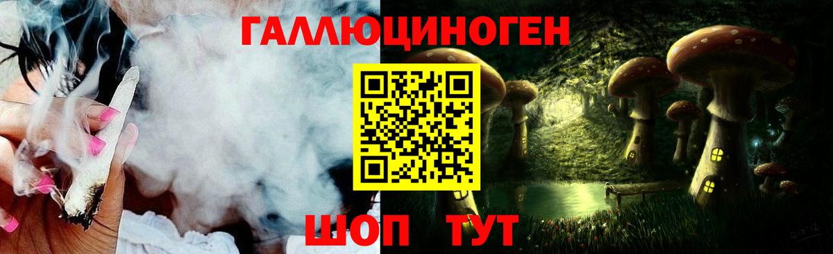 Галлюциногенные грибы Psilocybine cubensis  Вход с VPN  Людиново 