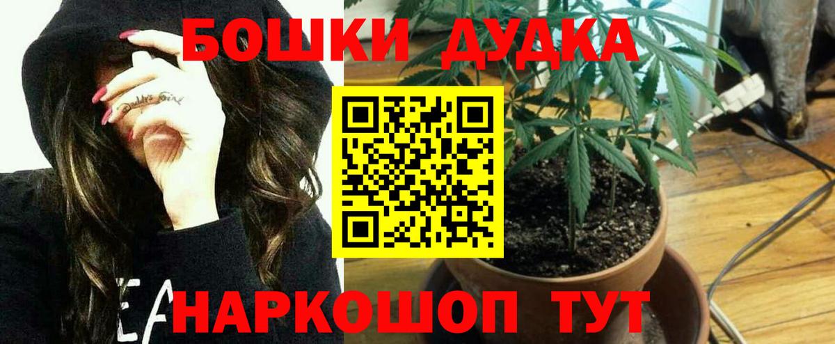 Бошки Шишки индика  МАРИХУАНА ГИДРОПОН  МАРИХУАНА Amnesia  Бошки марихуана Amnesia  Людиново  Вход с VPN 